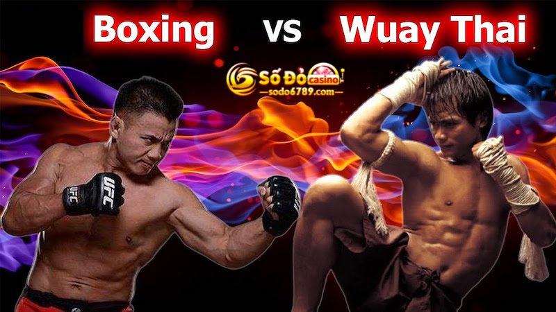 Cá cược Muay Thái và Quyền Anh